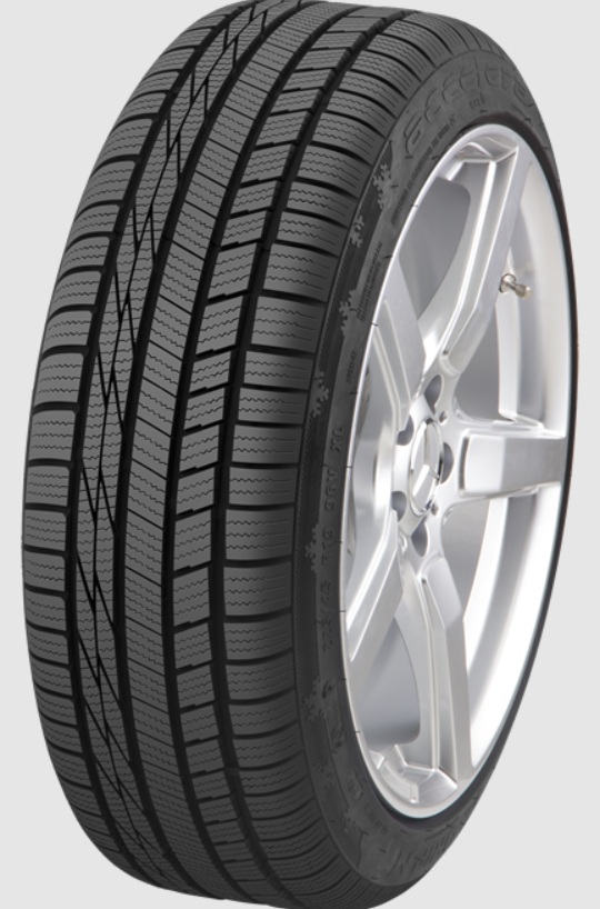 205/50 R17 XL  93V  TL X-GRIP N 3PMSF     DEMONTE   C-C-2